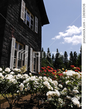 老古河之家 10690436