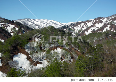 Fresh green and remaining snow 10690550