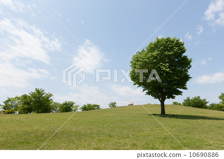 在山上的長凳 10690886