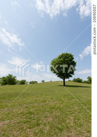 在山上的長凳 10690887