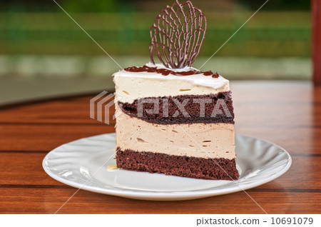 chocolate cake piece 10691079