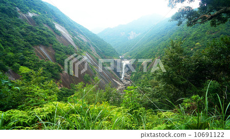 World Natural Heritage Yakushima Chihiro's Waterfall 10691122