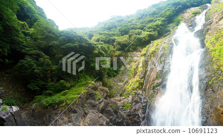 World Natural Heritage Yakushima Okawa Waterfall 10691123