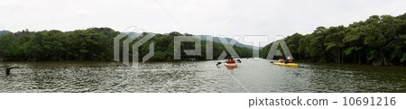 Iriomote Island Two people seated Canoe and go Hinai river 10691216