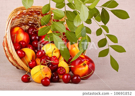 Fruits and berries spilled from the recycle bin 10691852