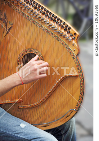 lute Player 10691969