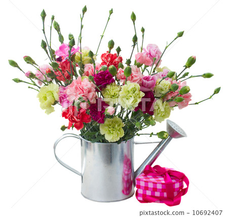 bunch of carnation flowers with gift box 10692407