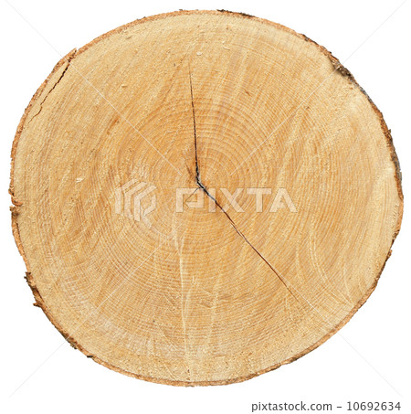 Trunk6 Trunk6 10692634