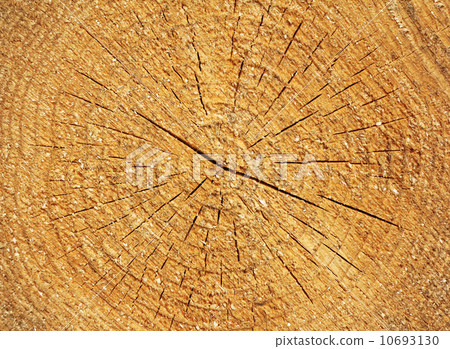 Wooden textured 10693130