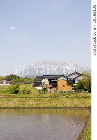 開始種植水稻的大山山腳下的稻田風景 開始種植水稻的大山山腳下的稻田風景 10693138
