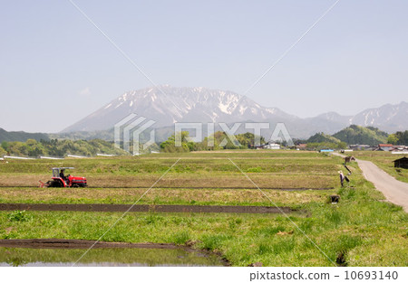 Scenery of rice planting at the foot of Daisen 10693140
