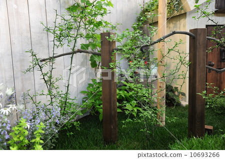 Safety gardening Safety gardening 10693266