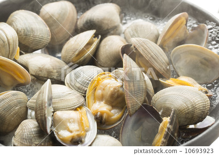 Steamed bamboo clam 10693923