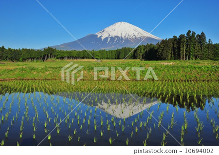 Sanae和倒富士的鄉村風光 10694002