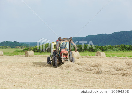 Cutting pasture 10694298