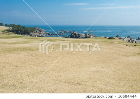 Aichi Prefecture Hachinohe City Species Coast 10694444