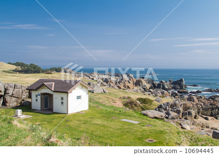 Aichi Prefecture Hachinohe City Species Coast Aichi Prefecture Hachinohe City Species Coast 10694445