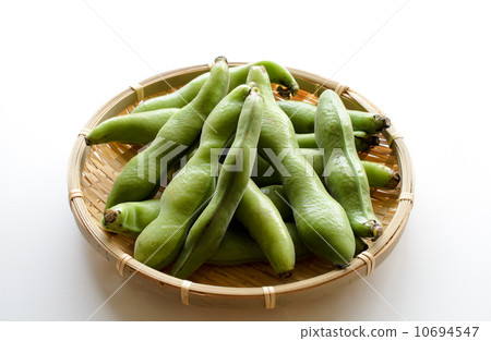 蠶豆 蠶豆 10694547