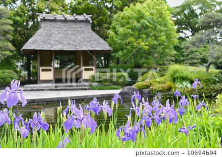 Jyunze en Poetry Izumika Eastern Garden Jyunze en Poetry Izumika Eastern Garden 10694694