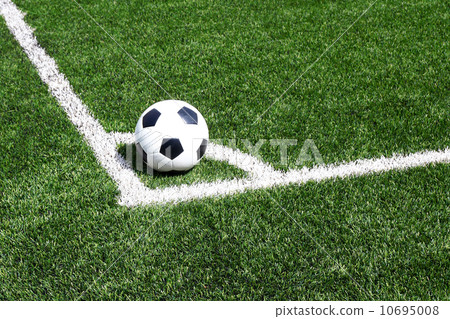 line on the Green Grass Texture in Soccer Field 10695008