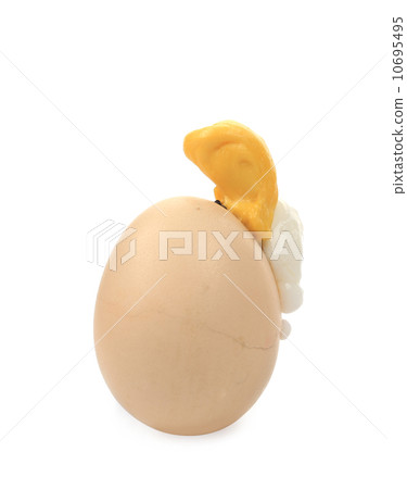 Boiled egg on a white. 10695495