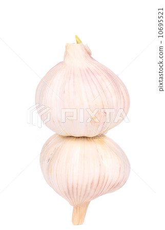Two Heads of garlic 10695521