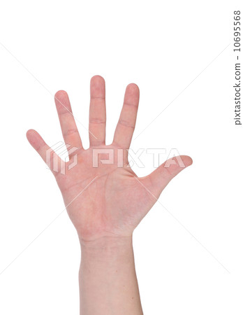 Five fingers. Man's hand. 10695568