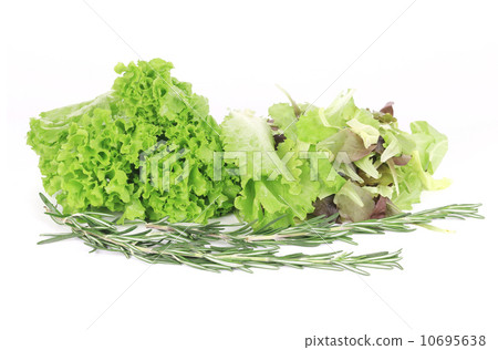 Mix salad with rosemary. Mix salad with rosemary. 10695638