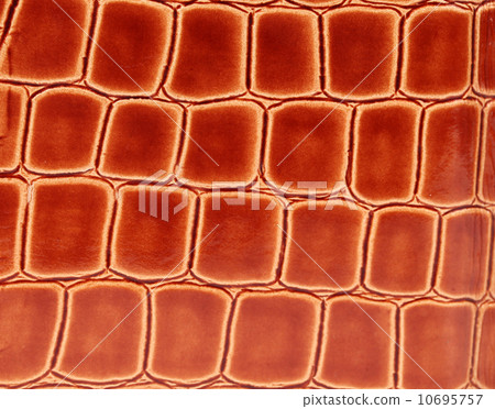 Fashion skin textile background 10695757