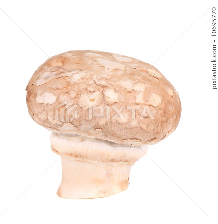 Brown champignon mushroom. 10695770