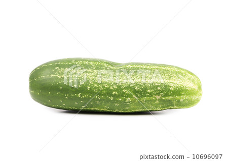 Single green cucumber 10696097
