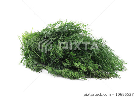 Close up of fresh dill herb. Close up of fresh dill herb. 10696527