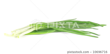 Fresh spring onion. Fresh spring onion. 10696716