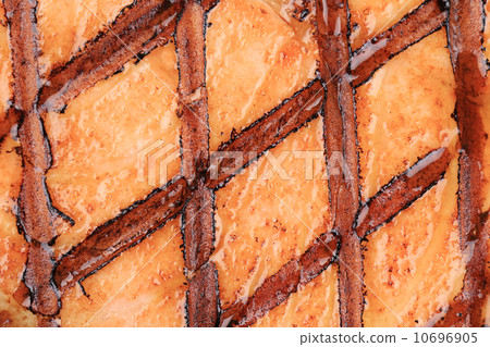 Close up of grilled salmon texture. Close up of grilled salmon texture. 10696905
