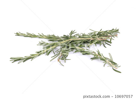 Rosemary brunches. Rosemary brunches. 10697057