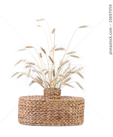 Wicker vase with wheat ears. 10697059