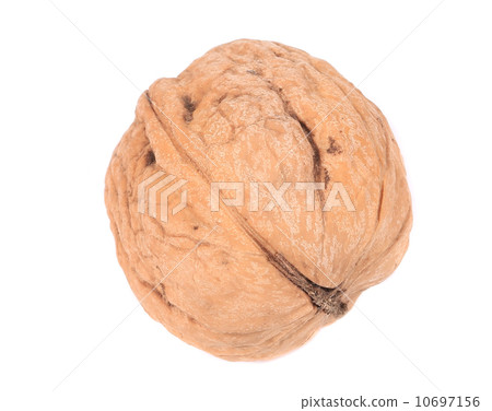 Close up of walnut. 10697156