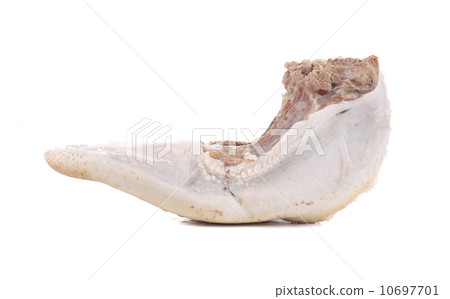 Raw cow tongue close up. 10697701