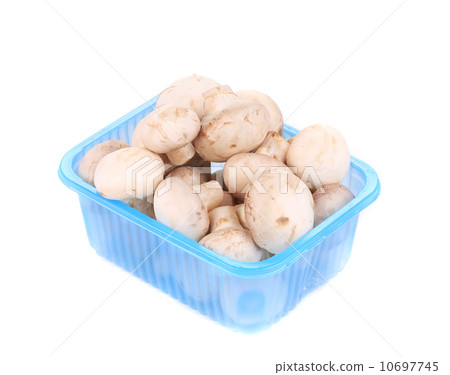 champignon mushrooms in a blue box 10697745