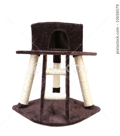 Cat toy house with ladder. Cat toy house with ladder. 10698079