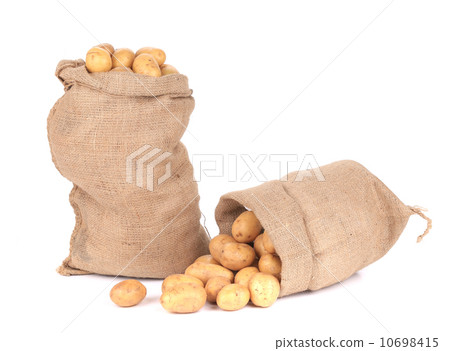 Two burlap sacks with potatoes. Two burlap sacks with potatoes. 10698415