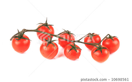 Cluster of Tomatoes. 10698561