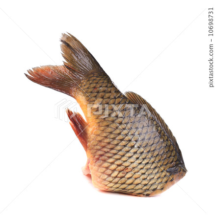 Fresh tail of carp fish. Fresh tail of carp fish. 10698731