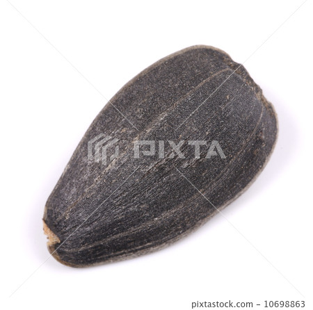one sunflower seed one sunflower seed 10698863