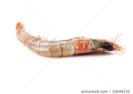 Close up of fresh shrimp. Close up of fresh shrimp. 10699230