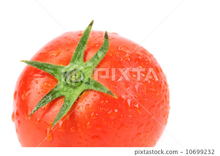 tomato tomato 10699232