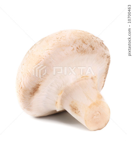 White mushroom close up. White mushroom close up. 10700463