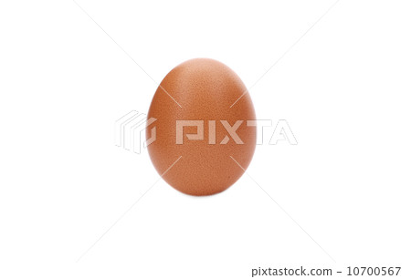 Close up of brown egg. Close up of brown egg. 10700567