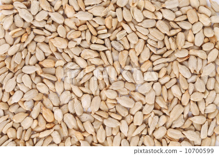 Background of sunflower seeds. Background of sunflower seeds. 10700599