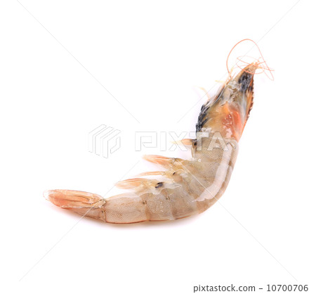 Close up of fresh shrimp. Close up of fresh shrimp. 10700706